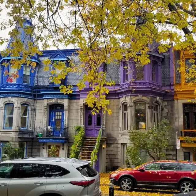 Colourful Victorian row houses with autumn trees on a Montréal street